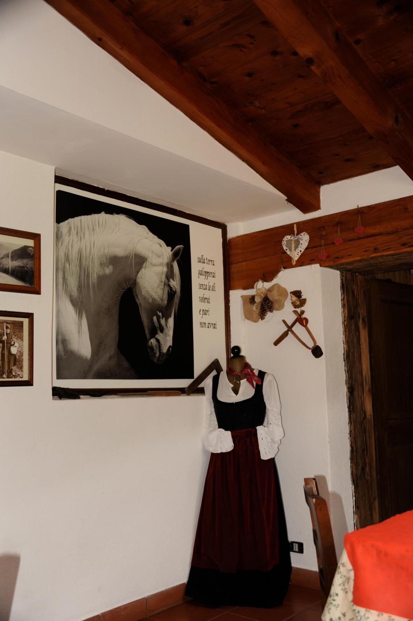 Agriturismo Randis Piano dʼArta Екстериор снимка
