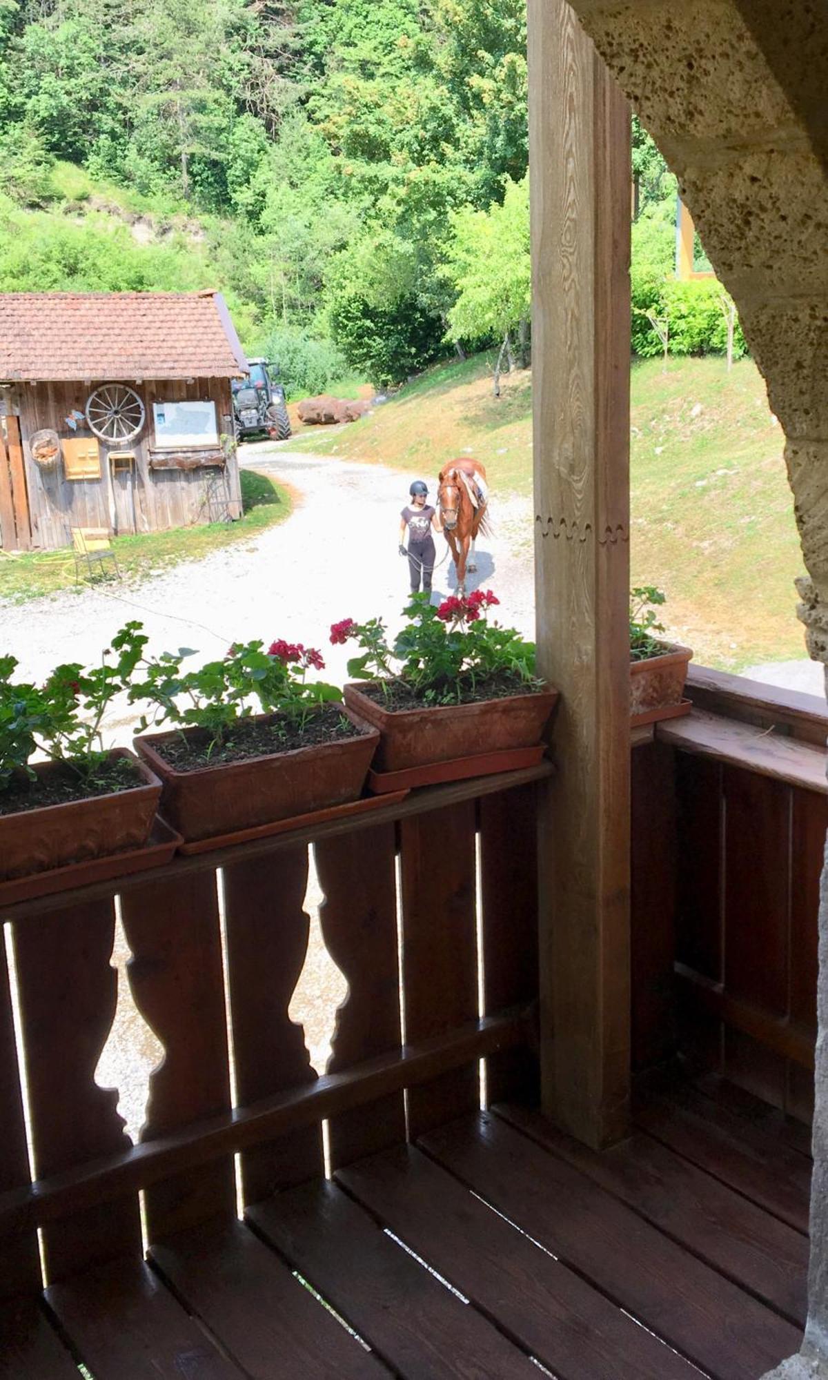 Agriturismo Randis Piano dʼArta Екстериор снимка