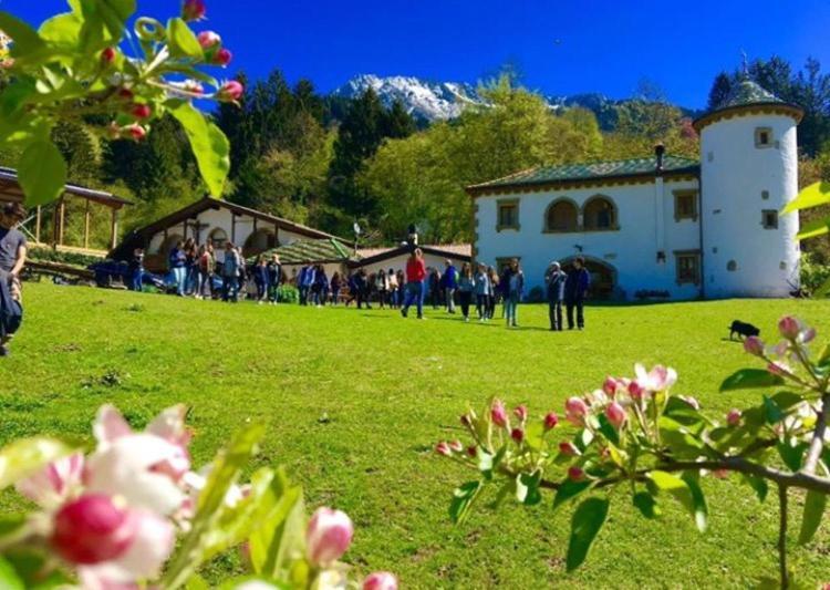 Agriturismo Randis Piano dʼArta Екстериор снимка