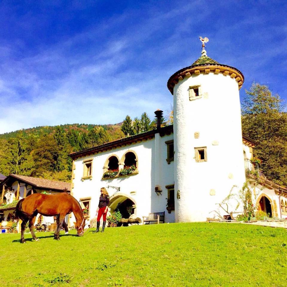 Agriturismo Randis Piano dʼArta Екстериор снимка